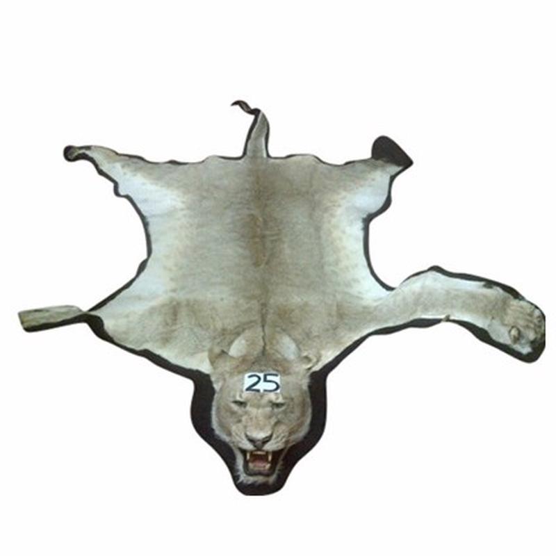 Lioness Rug Mount _ LR25