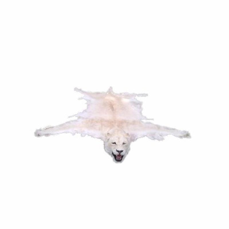 Lioness Rug Mount White LRFM1