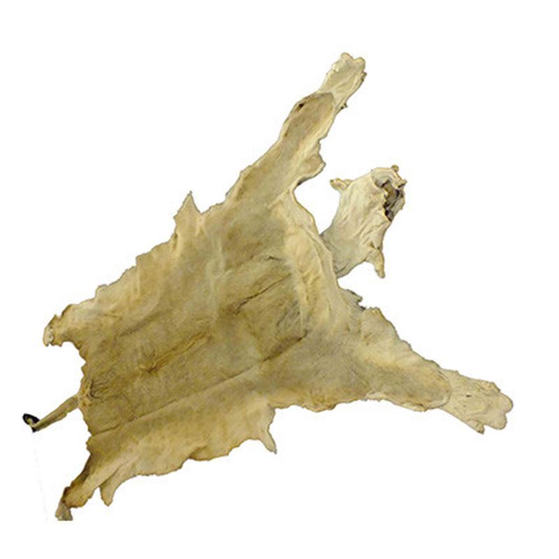 Lioness Skin LS01 - Image 2