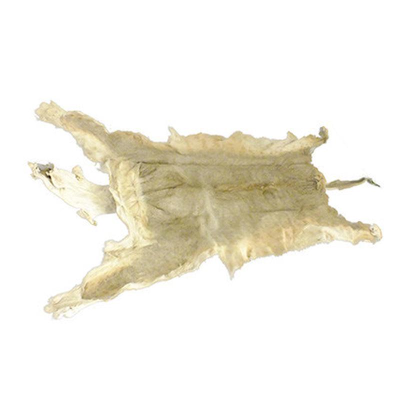 Lioness Skin LS01 - Image 3
