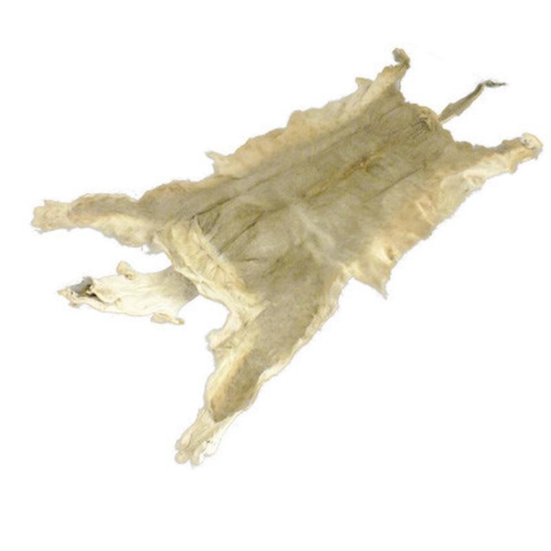 Lioness Skin LS01 - Image 4
