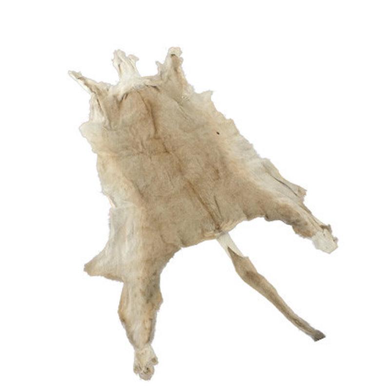 Lioness Skin LS02 - Image 4