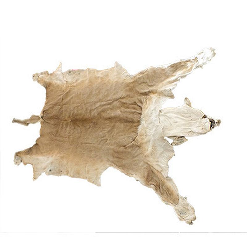 Lioness Skin LS06 - Image 2