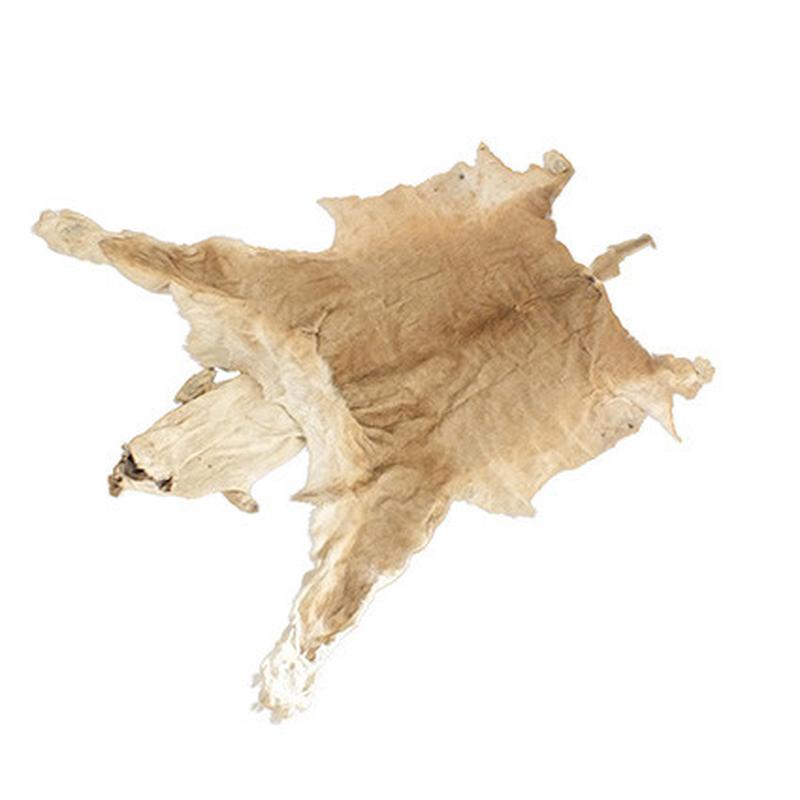 Lioness Skin LS06 - Image 3