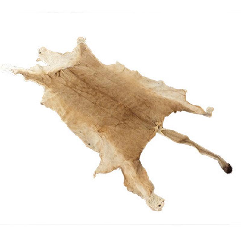 Lioness Skin LS06 - Image 4
