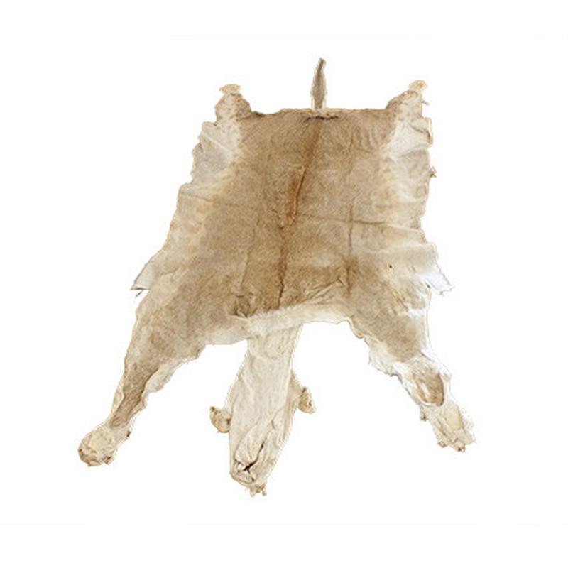 Lioness Skin LS08 - Image 2