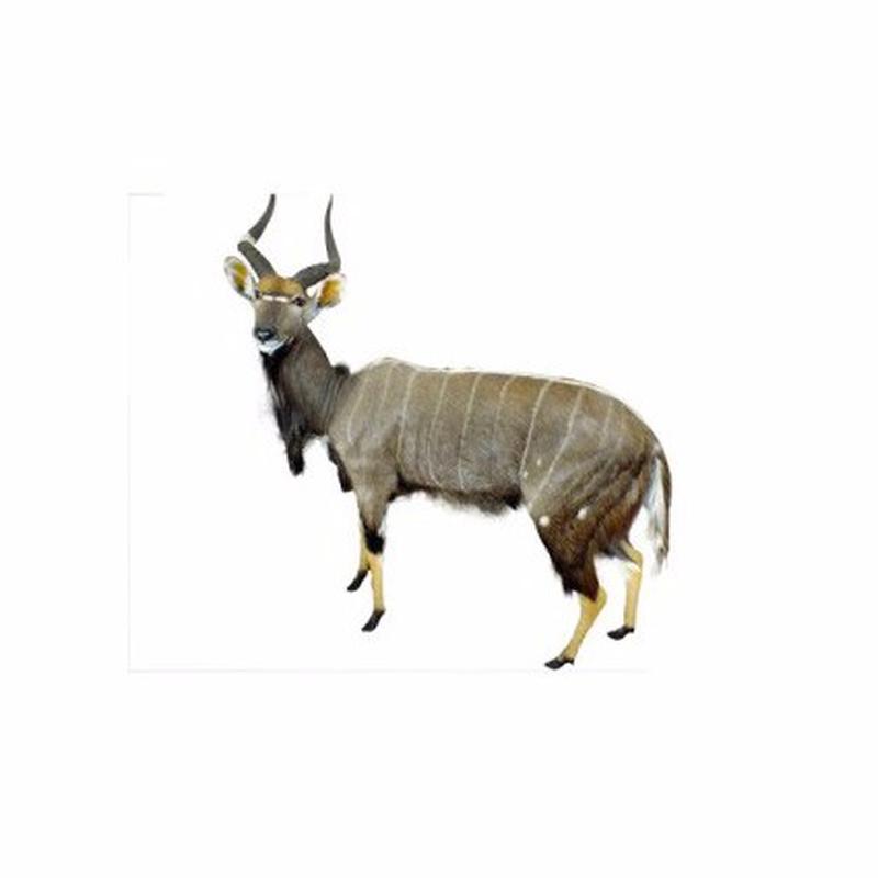Nyala Full Mount - NFM_04