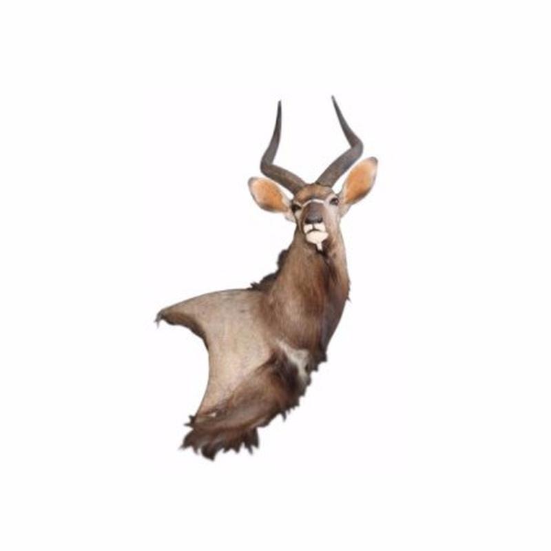 Nyala Pedestal Mount NPM1