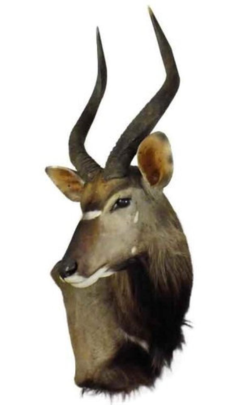 Nyala Wall Pedestal NWP1 - Image 2