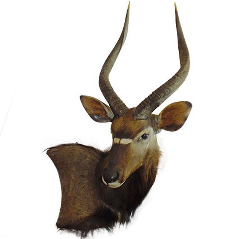 Nyala Wall Pedestal NWP1 - Image 3