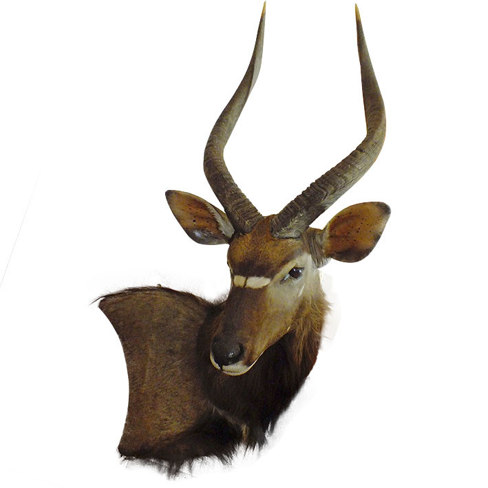 Nyala Wall Pedestal NWP1 - Image 4