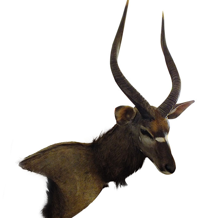 Nyala Wall Pedestal NWP1 - Image 5