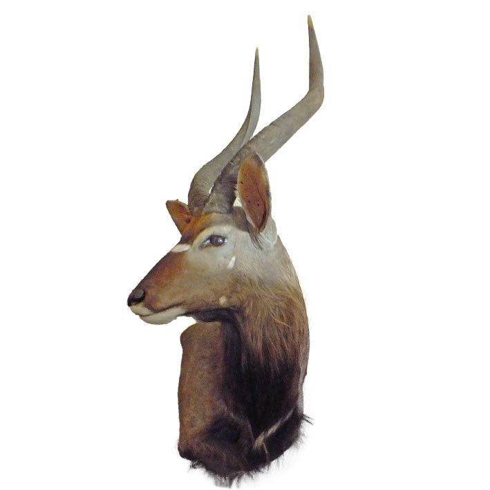 Nyala Wall Pedestal NWP1 - Image 6