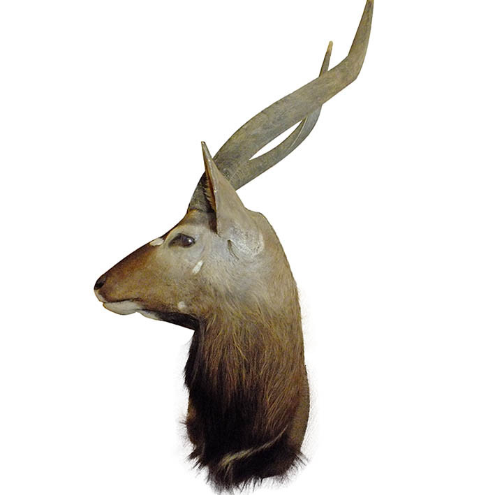 Nyala Wall Pedestal NWP1 - Image 7