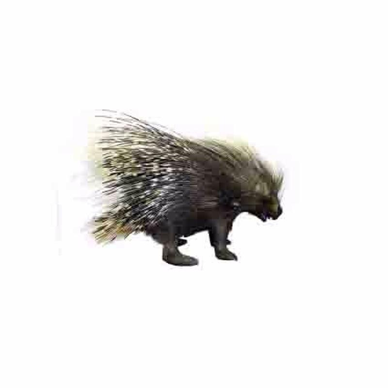 Porcupine Full Mount For Sale P11