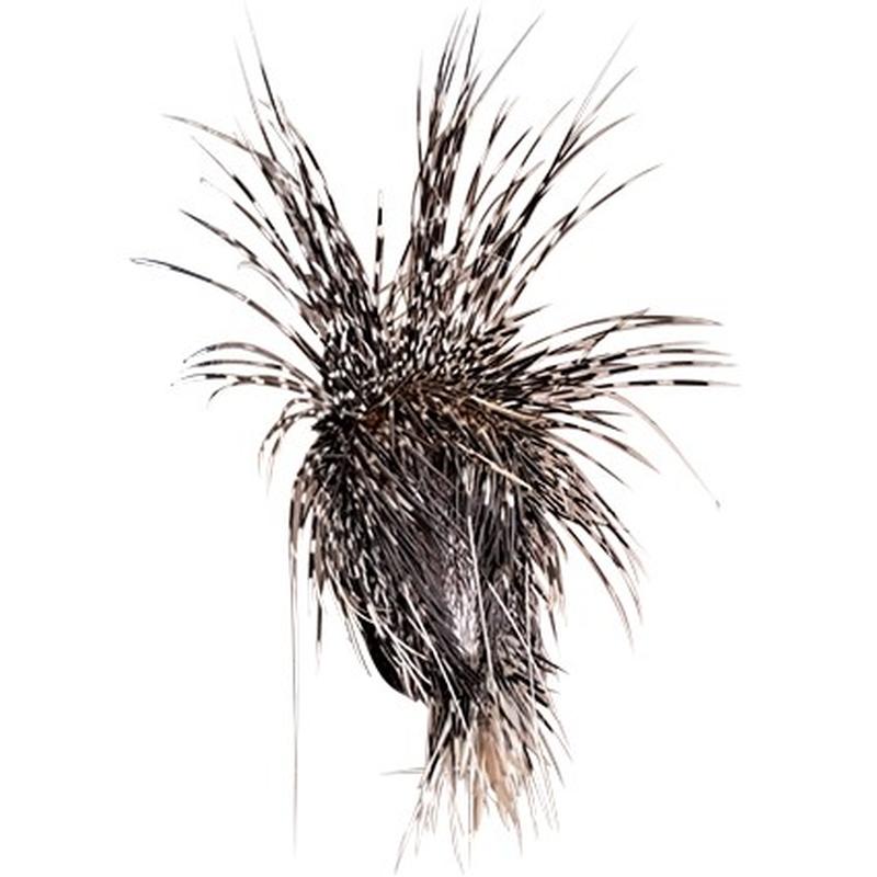 Porcupine Full Mount PFM011 - Image 2
