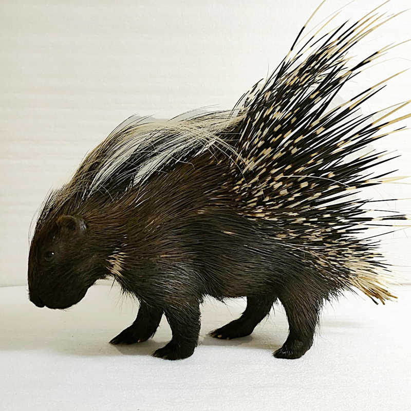 Porcupine Full Mount PFM100