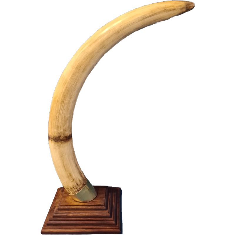 Replica Elephant Tusk Mounts - RETM 101 - Image 2