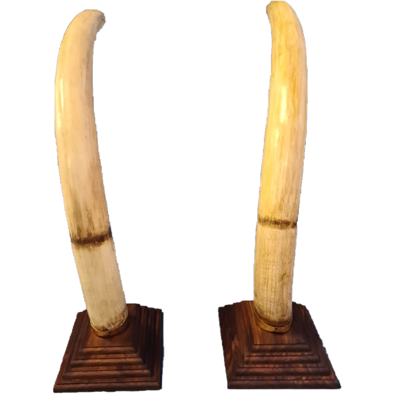 Replica Elephant Tusk Mounts - RETM 101 - Image 3