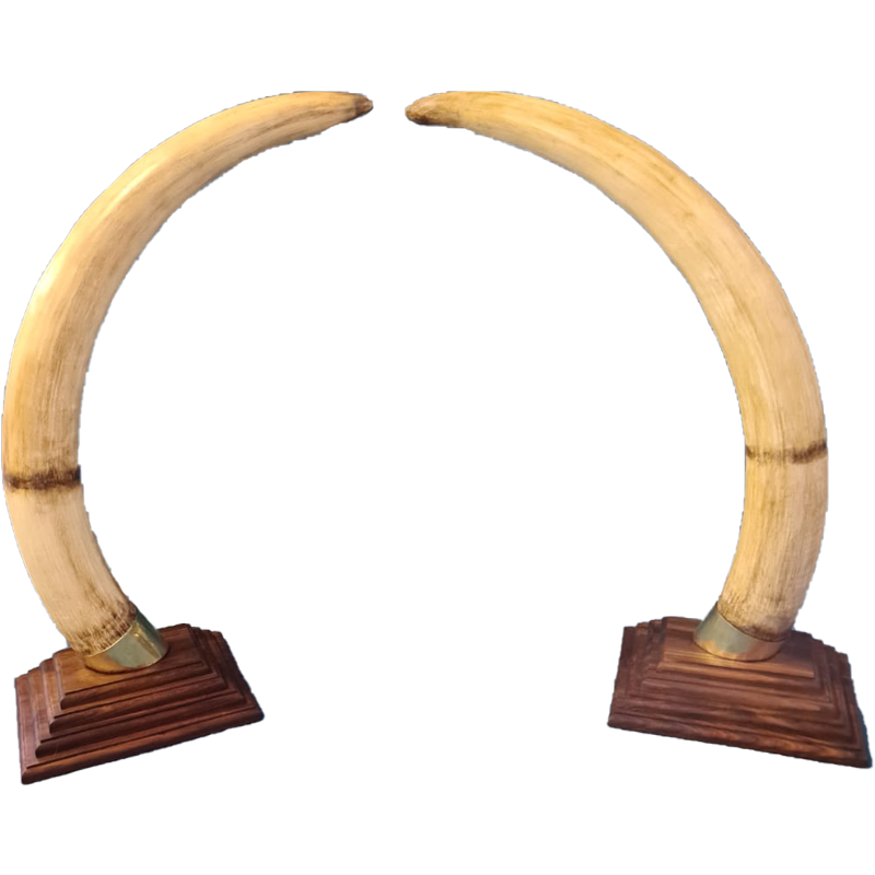 Replica Elephant Tusk Mounts - RETM 101