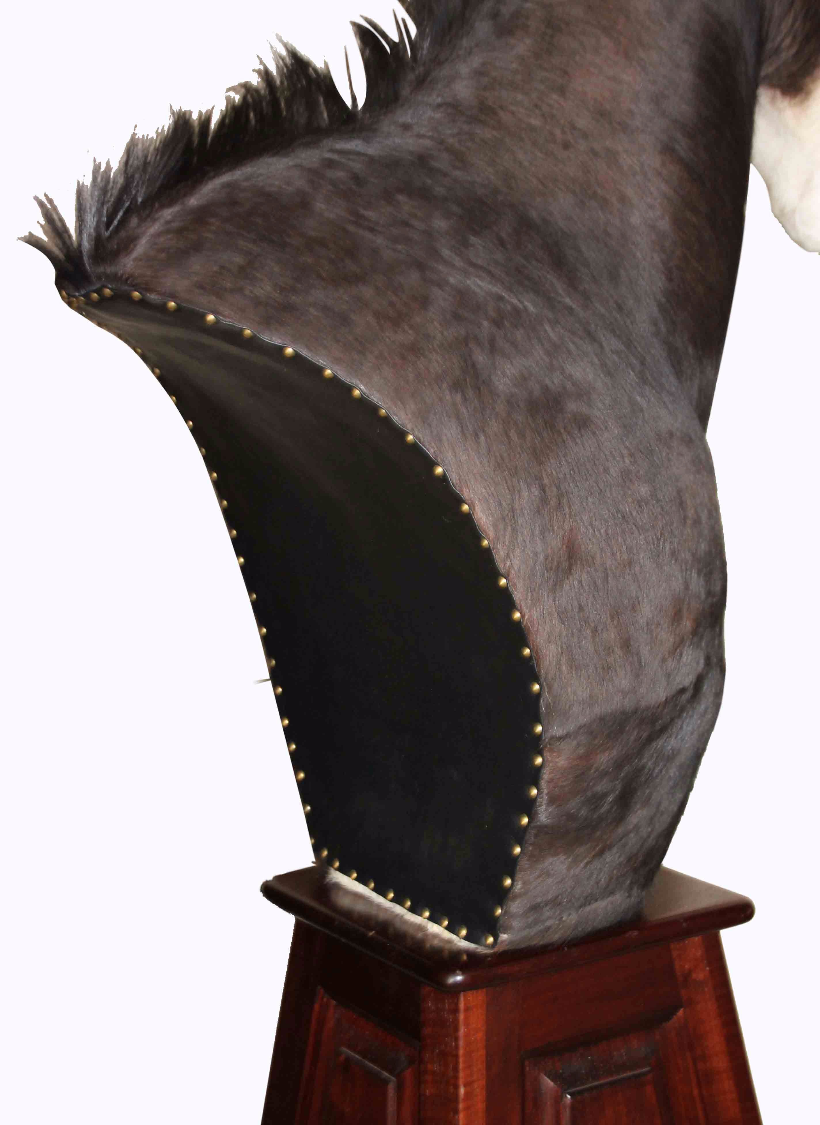Sable Antelope Pedestal Mount SA1 - Image 3