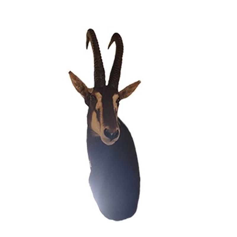 Sable Shoulder Mount SSM152