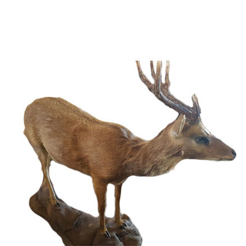 Sambar Full Mount SFM1 - Image 2