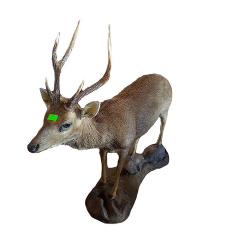 Sambar Full Mount SFM1 - Image 3