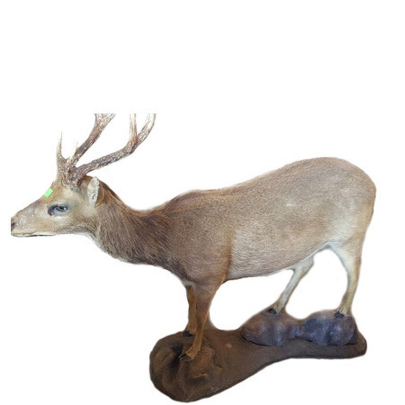 Sambar Full Mount SFM1 - Image 4