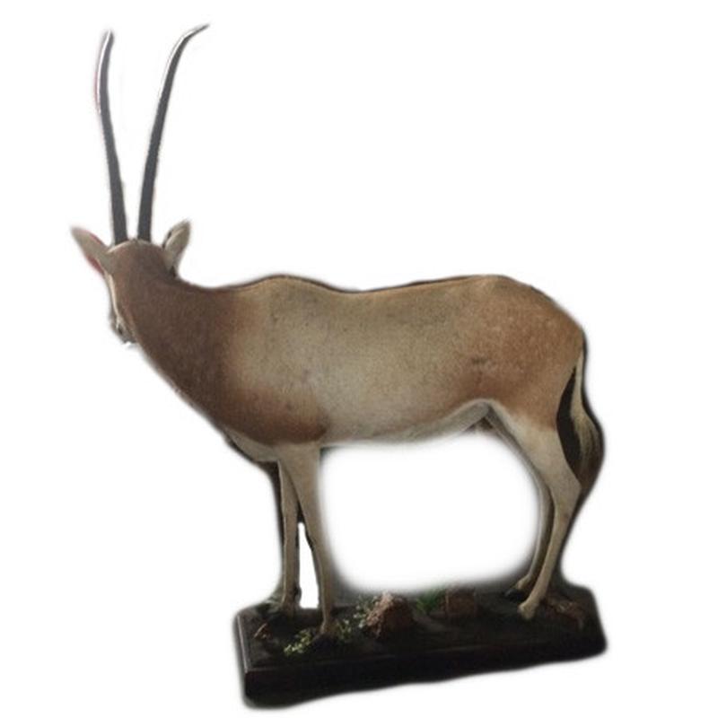Scimitar Oryx Full Mount SOF1 - Image 2