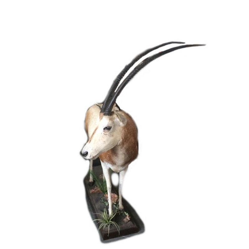 Scimitar Oryx Full Mount SOF1 - Image 3