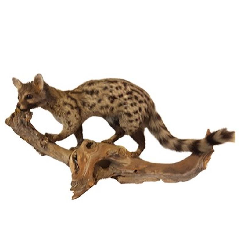 Serval Full Mount On Base SFMB15