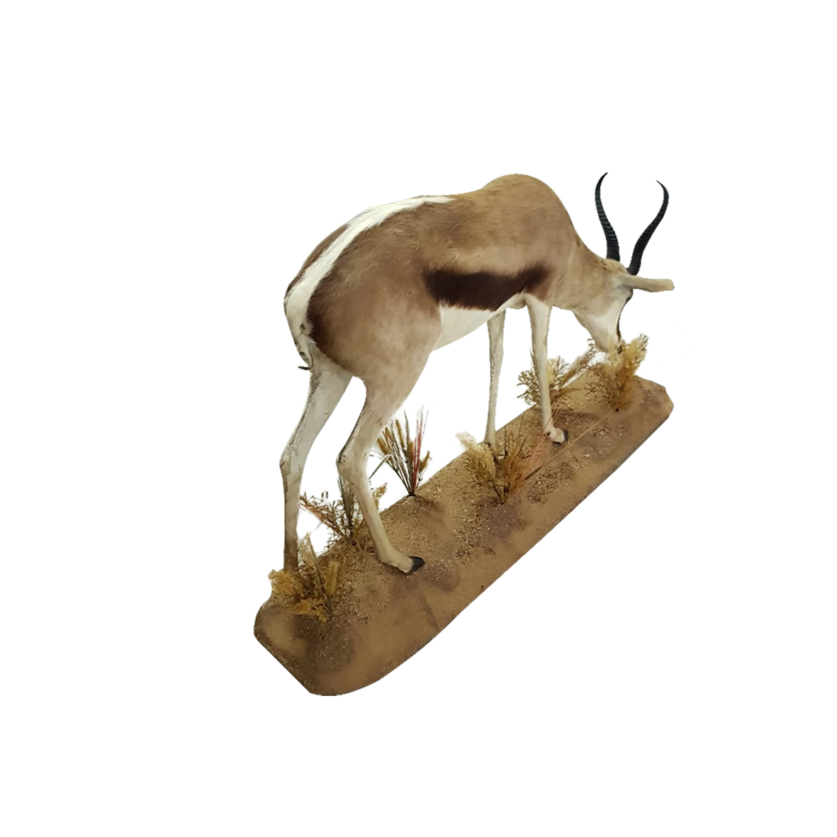 SPRINGBOK FULL MOUNT SFM1W - Image 2