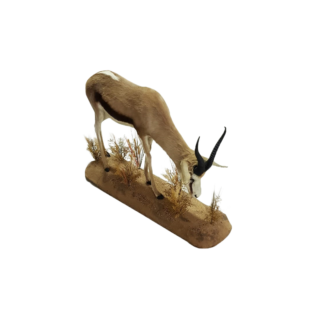SPRINGBOK FULL MOUNT SFM1W - Image 3