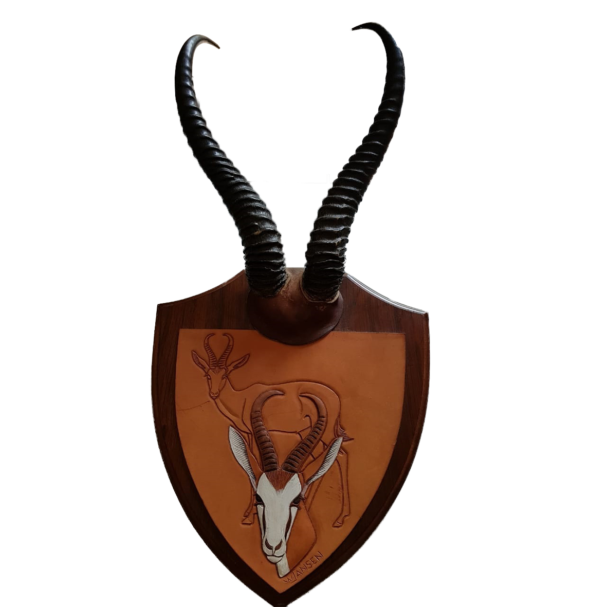 SPRINGBOK HORNS MOUNT SHM21