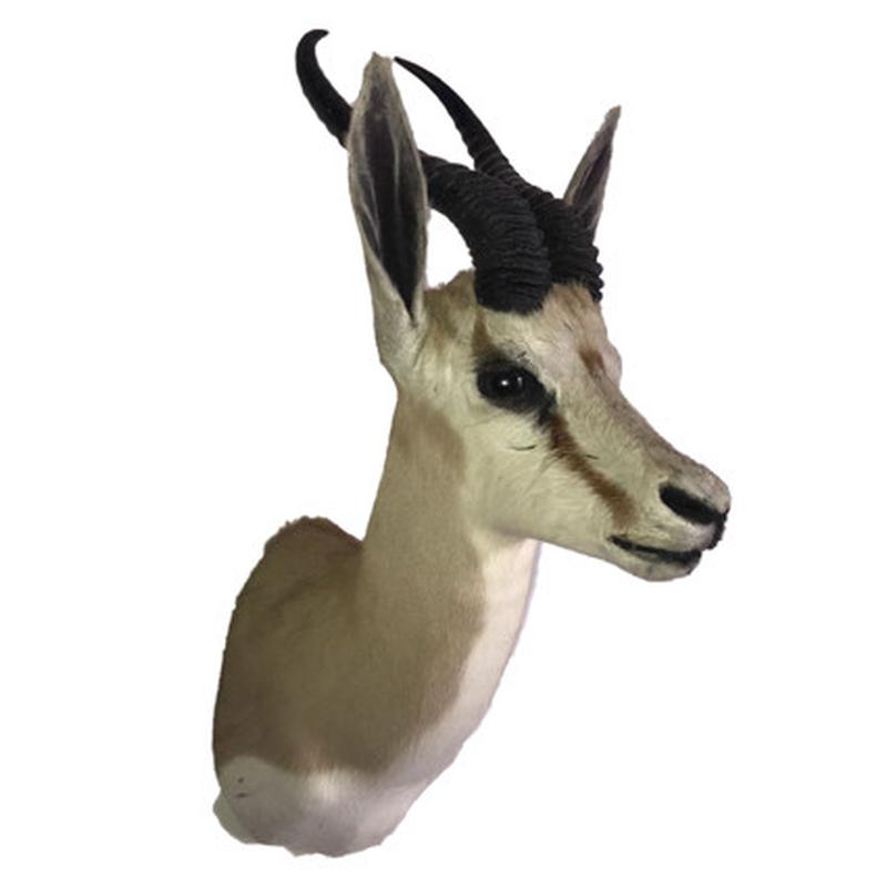 Springbok Shoulder Mount SBSM01 - Image 2