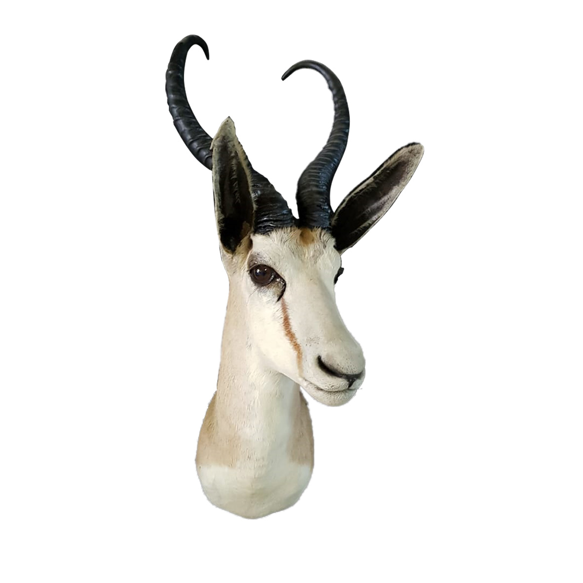 SPRINGBOK SHOULDER MOUNT SSM2
