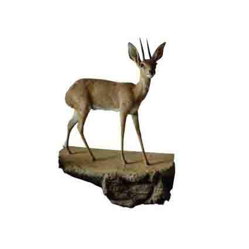 Steenbuck Full Mount SFM1