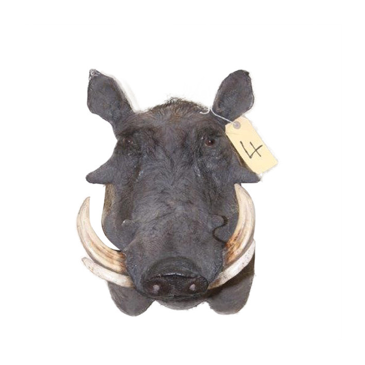 Warhog Shoulder Mount WSM004