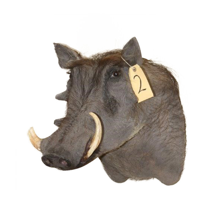 Warhog Shoulder Mount WSM02