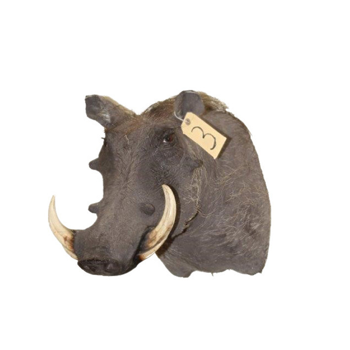 Warhog Shoulder Mount WSM03 - Image 2
