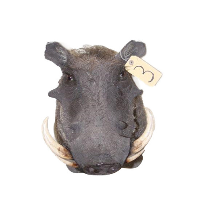 Warhog Shoulder Mount WSM03
