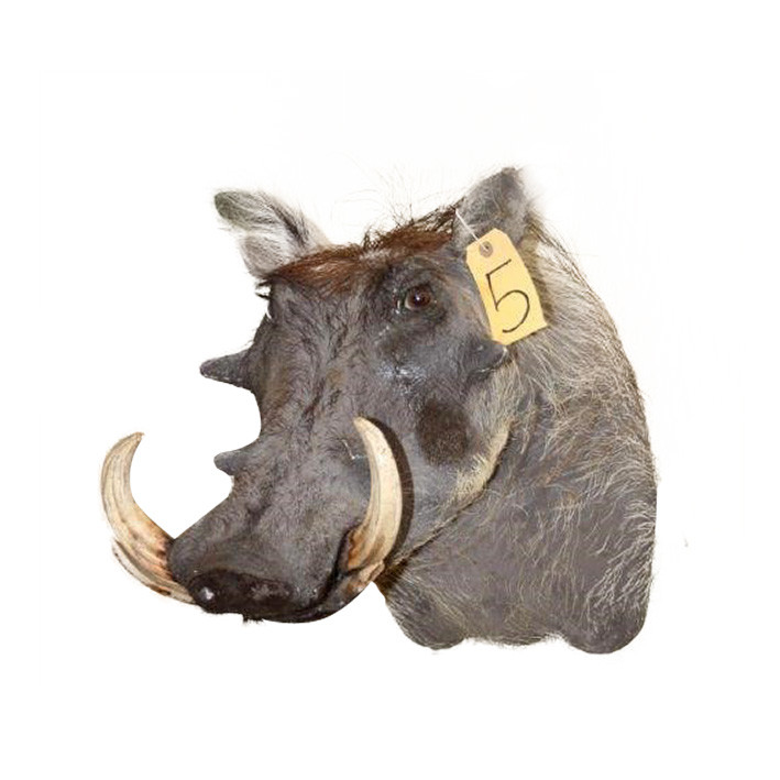 Warhog Shoulder Mount WSM05 - Image 2