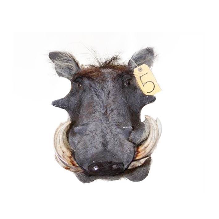 Warhog Shoulder Mount WSM05