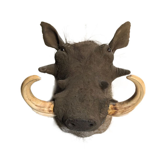 Warthog Shoulder Mount WSM11 - Image 2