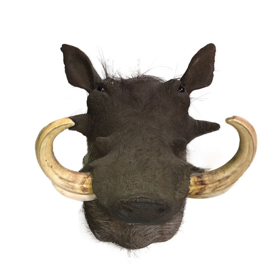 Warthog Shoulder Mount WSM11 - Image 4