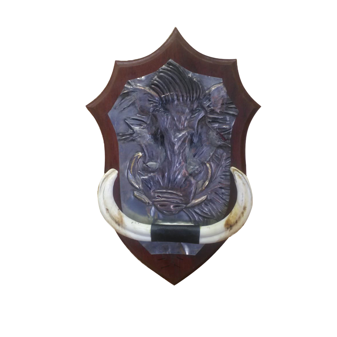 WARTHOG TUSKS MOUNT WTM9