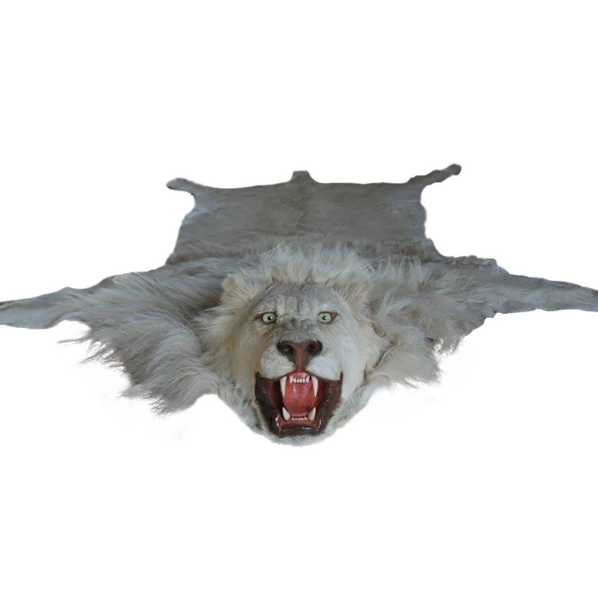 WHITE LION RUG MOUNT WLR02 - Image 3