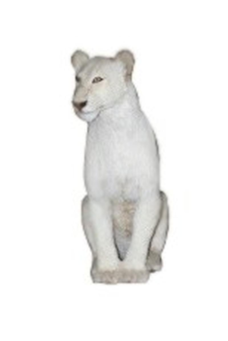 White Young Lioness Full Mount - WLFM01 - Image 5