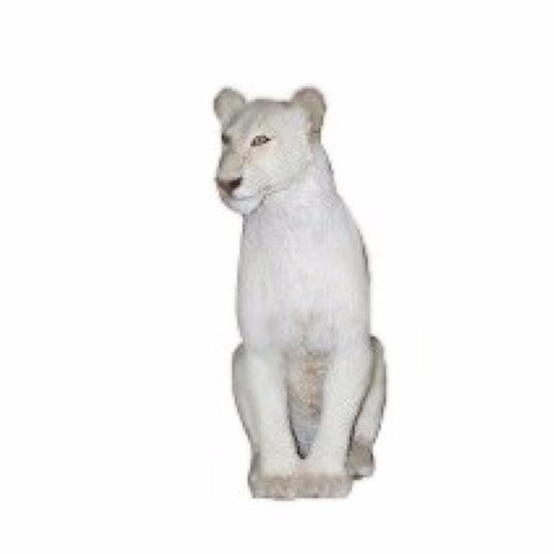 White Young Lioness Full Mount - WLFM01